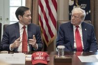 Marco Rubio’s ascendance masks bigger question of who has Trump’s ear