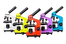 Levenhuk Raınbow 2L Mikroskop