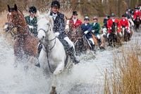 Trail hunting to be banned under new animal welfare push