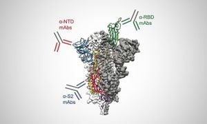 Oxidative Stress Enhances SARS-CoV-2 Spike Protein Infectivity