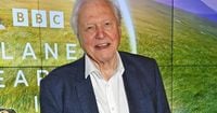 How to watch 'one of the most important movies' in David Attenborough’s career