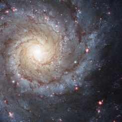 M74: The Perfect Spiral