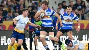 Harlequins Thrash Stormers To Secure Champions Cup Knockout Spot