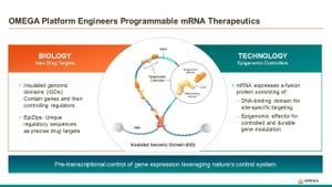 New Programmable MRNA Therapeutics Target Gene Regulation