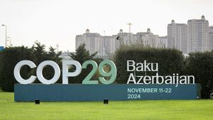 World Leaders Urge Immediate Climate Action At COP29