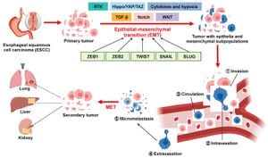 Study Links Blood Trace Elements To Esophageal Cancer Risk And Prognosis