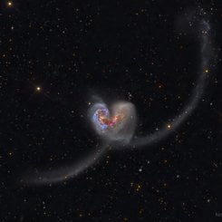 The Heart Shaped Antennae Galaxies