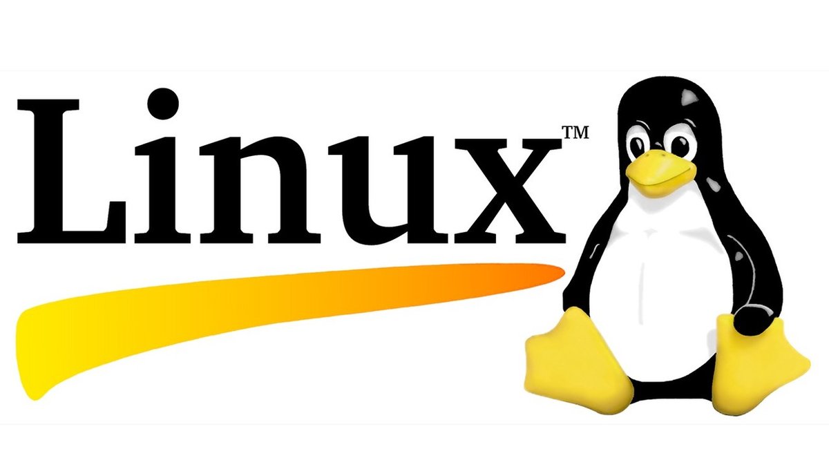 Linux Nedir? Dağıtımlar ve Özgür Yazılım Üzerine Genel Bilgiler - Evrim ...