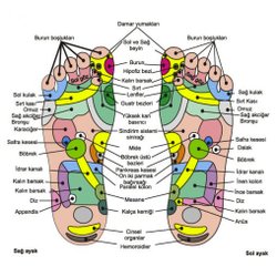 Ayak haritası kanıtlanmış bir gerçek midir? Tıpta karşılığı var mıdır?
