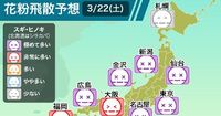 今日のスギ花粉、「極めて多い」予想。朝8時までの集計で、約4割が「とてもつらい」と回答