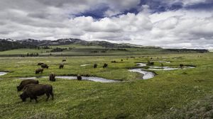 How Yellowstone Reshaped Western Storytelling