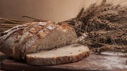 Ekmeğin kutsal sayılmasının sebepleri nelerdir?