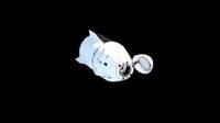 Crew-9 astronauts back on Earth after splashdown off Florida coast