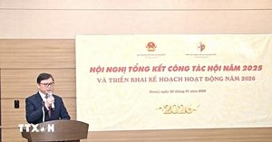 Vietnamese Community In South Korea Unites For New Era