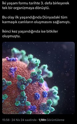 İddia edilen haberler ışığında yeni bir canlı türü ortaya çıkma ihtimali nedir?