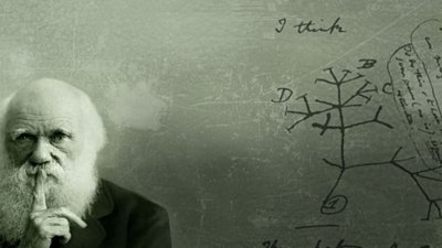 Evrimin Bilim İnsanlarınca Kabul Edilirliğine Dair: 