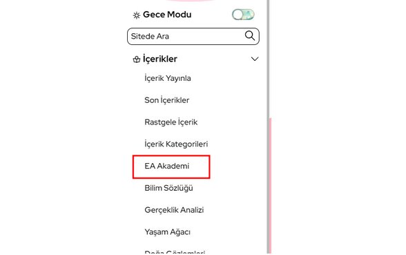 EA Akademinin menüdeki konumu.
