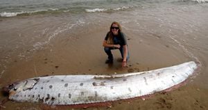 Rare Oarfish Washes Ashore On California Beach