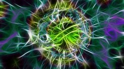 "Cyborg" Organoidler, Organ Gelişiminin İlk Evrelerini Anlamamızı Sağlayabilir!