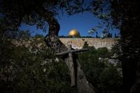 Photos show monks and nuns harvesting olives on the Holy Land’s Mount of Olives