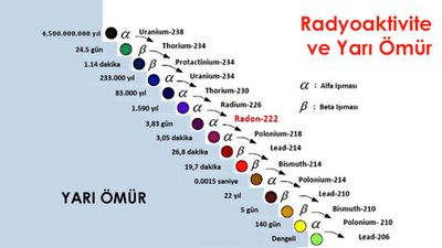 Yarı Ömür Nedir? Radyoaktif Maddeler Nasıl Yarılanır?