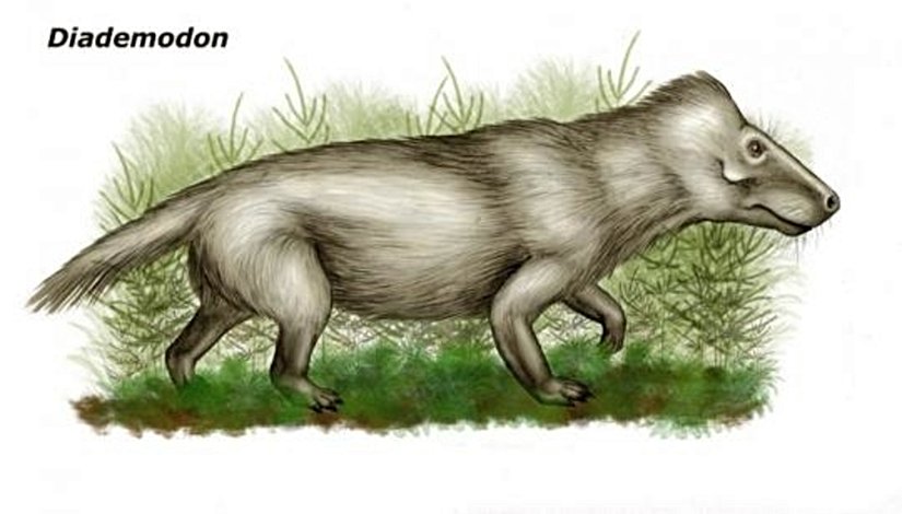 Diademodon