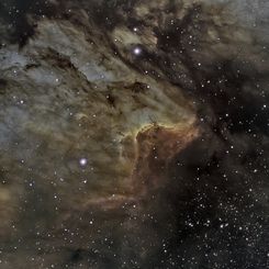  IC 5067 in the Pelican Nebula 