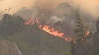 【速報】激しく燃える山肌…今治市で山火事 複数か所から炎 現在も延焼中 愛媛 | 愛媛のニュース - Nスタえひめ｜あいテレビは6チャンネル