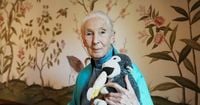Wildlife advocate and primate expert Jane Goodall dies at 91