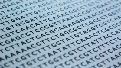 İnsan Evriminin Devam Ettiğini Gösteren İzler