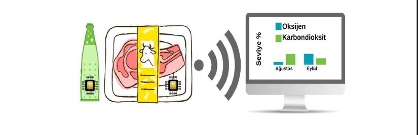 Radyo Frekansı Tanımlama Sistemi ile Çalışan Nanosensör Çalışması