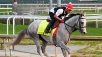 Kentucky Derby 2025 printable horse list: Complete field and betting odds