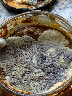 Bu canlının türü nedir?