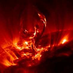 A Solar Filament Lifts Off