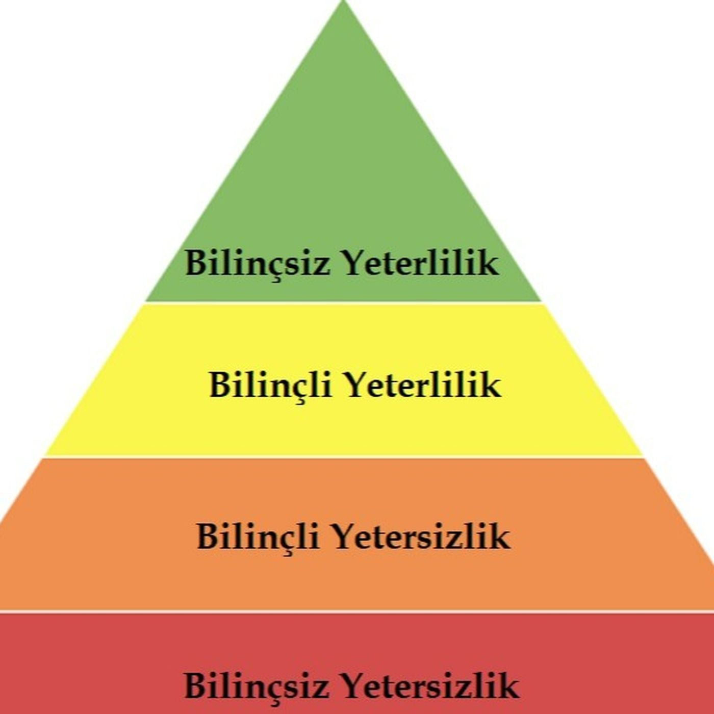 Yetkinliğin Dört Aşaması: Bilmediğinizi Bilmekten, Bildiğinizi Bilmeye Nasıl Geçersiniz?
