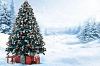 When you wish upon an ACE review - Arts Professional