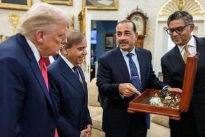 Pakistan Courts US With Rare Earth Minerals Deal