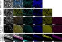 Copper-supported thiol-functionalized cellulose as a paper-based catalyst for imine synthesis - Scientific Reports