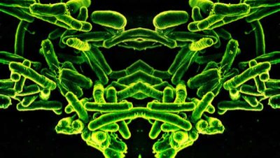 Ayna Yaşam Formları Kulağa Bilimkurgu Gibi Gelebilir, Ancak Bilim İnsanları Bu Formların İnsanlar İçin Ölümcül Olabileceği ve Çevreyi Yok Edebileceği Konusunda Uyarıyor!