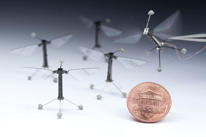 Harvard Robobee