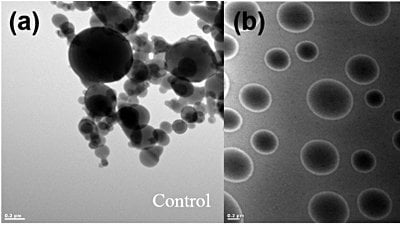 Koaservatlar Ne Yapmaları Gerektiğini Nereden Biliyorlardı? Canlılık, Doğal Süreçlerle Nasıl Başladı?