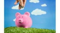 Mutual funds decoded: What sectors and stocks are fund managers betting on?