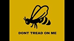 VATANDAŞA DOKUNACAK HASSAS BİR EKONOMİ-POLİTİK TÜRK KALKINMASINI GERÇEKLEŞTİREBİLİRE BENZİYOR