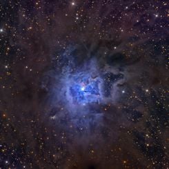  NGC 7023: The Iris Nebula 