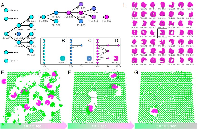 Kendi kendine üremenin evrimi