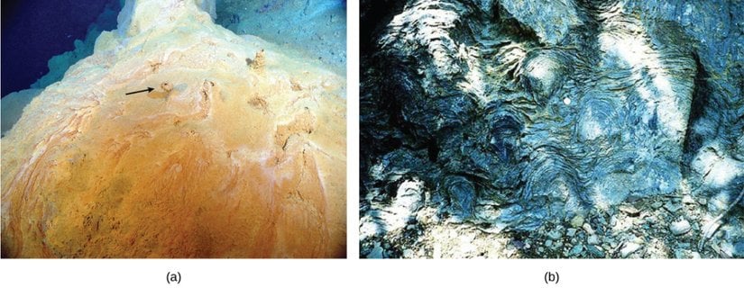 (a) Bu mikrobiyal mat, Pasifik Okyanusu'ndaki bir hidrotermal bacanın üzerinde büyümektedir. Okla gösterilen bacalar gazların dışarı çıkmasını sağlar. (b) Bu fotoğraf Montana'daki Glacier Ulusal Parkı'nda bulunan yaklaşık 1.5 milyar yıllık stromatolitleri göstermektedir.