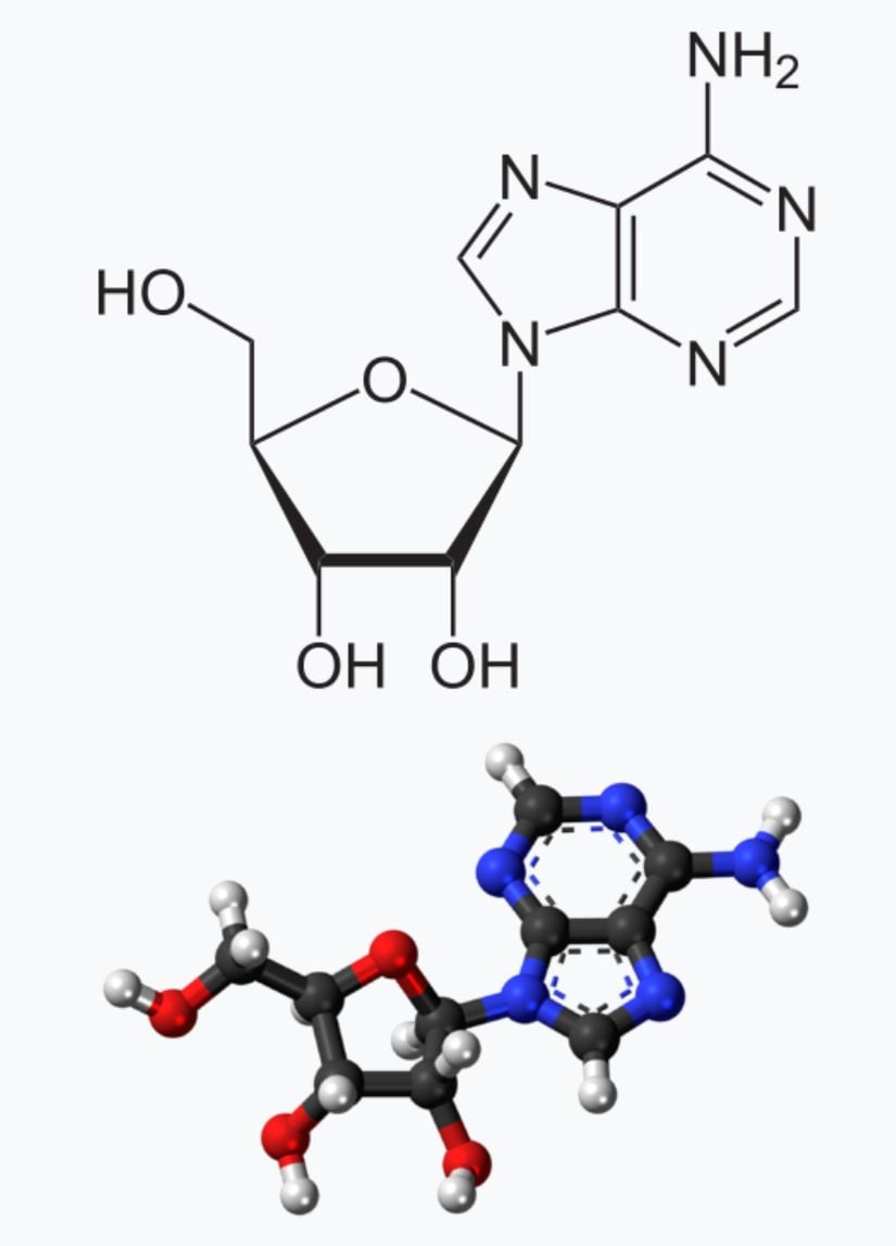 Adenozin