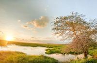 On Earth Day and every day Rotary projects make an impact