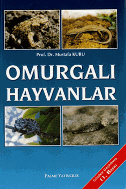 Omurgalı Hayvanlar