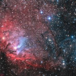 The Tulip and Cygnus X-1